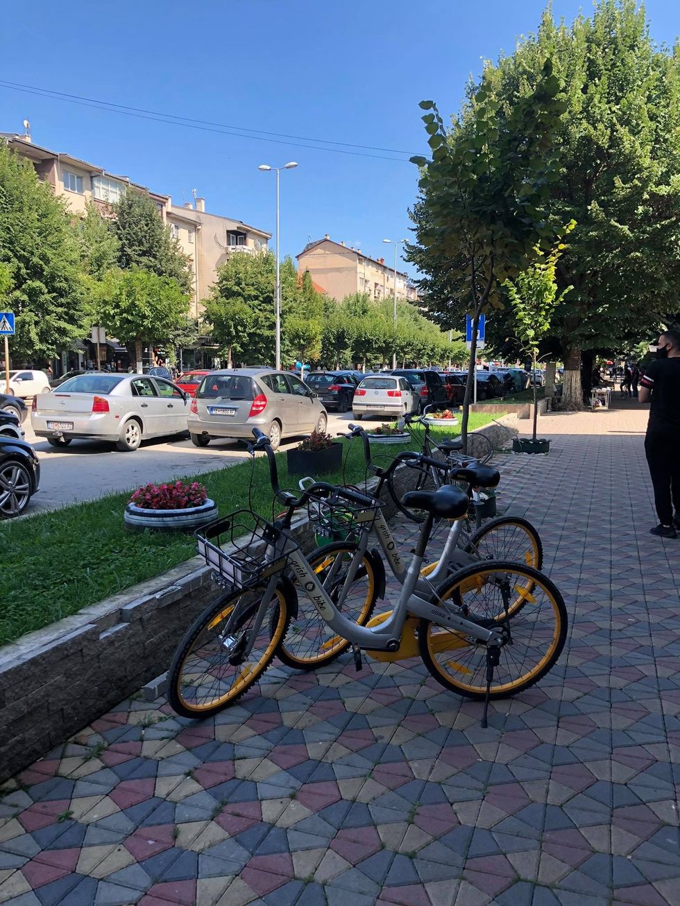 119431173 250256299569953 7609550590732673556 n