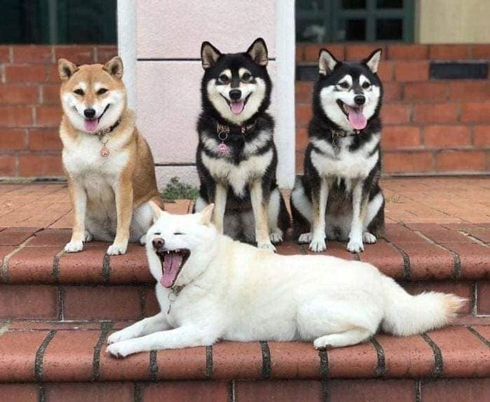 11a2da31 0037 48ef a1ad 4fee75ff2cab