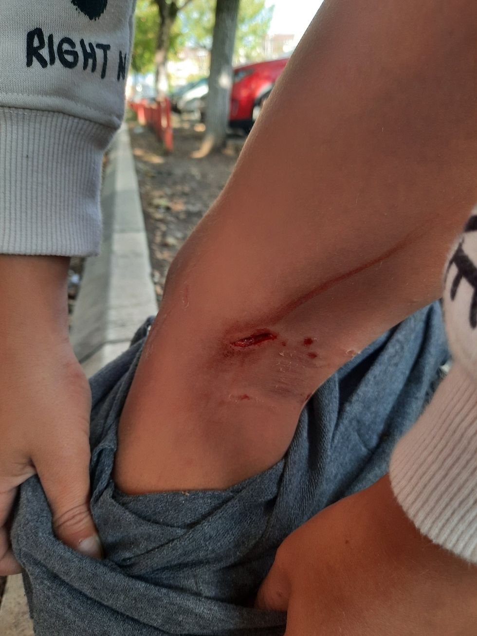 121155948 664049174506232 7486494267716480888 o