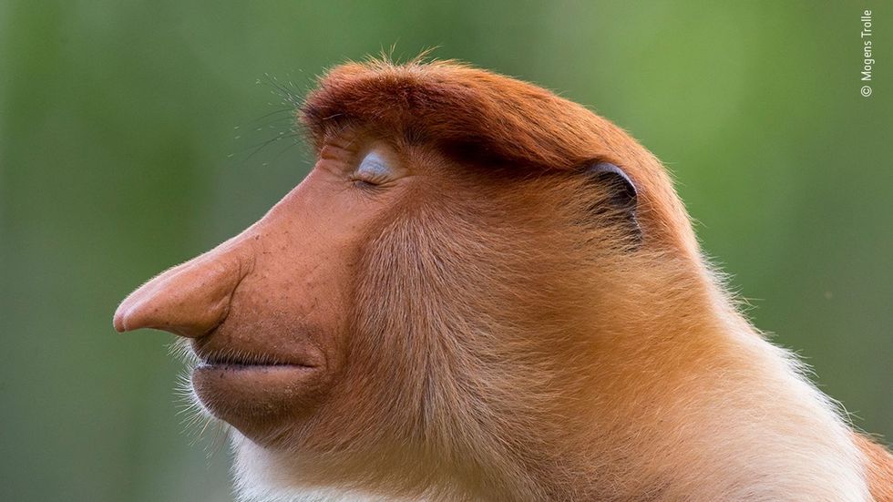 121486409 636256723711802 3425023282558187599 n