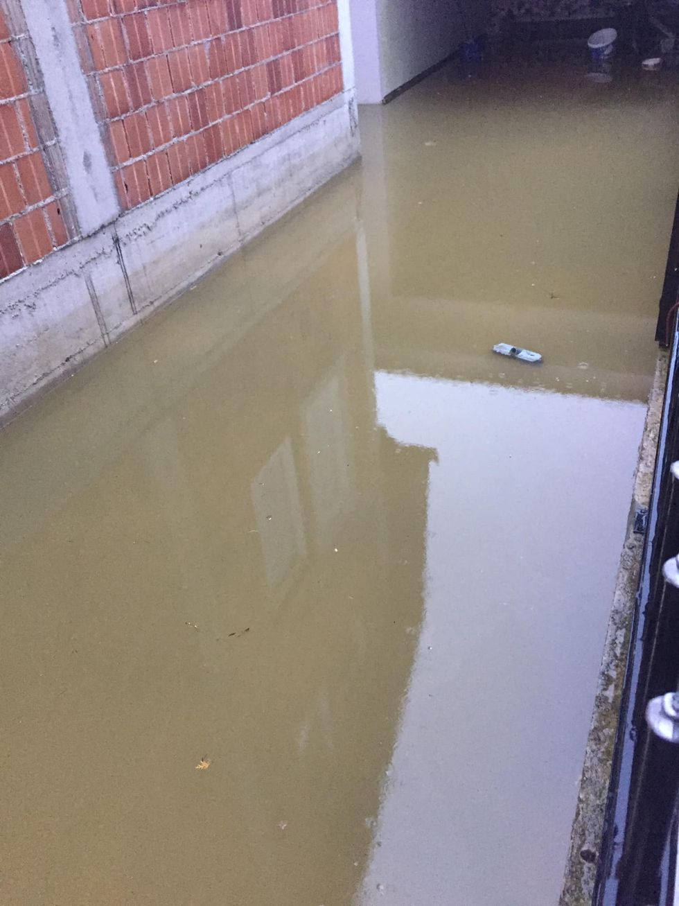 121610556 3339838999404967 7773318084491201323 o