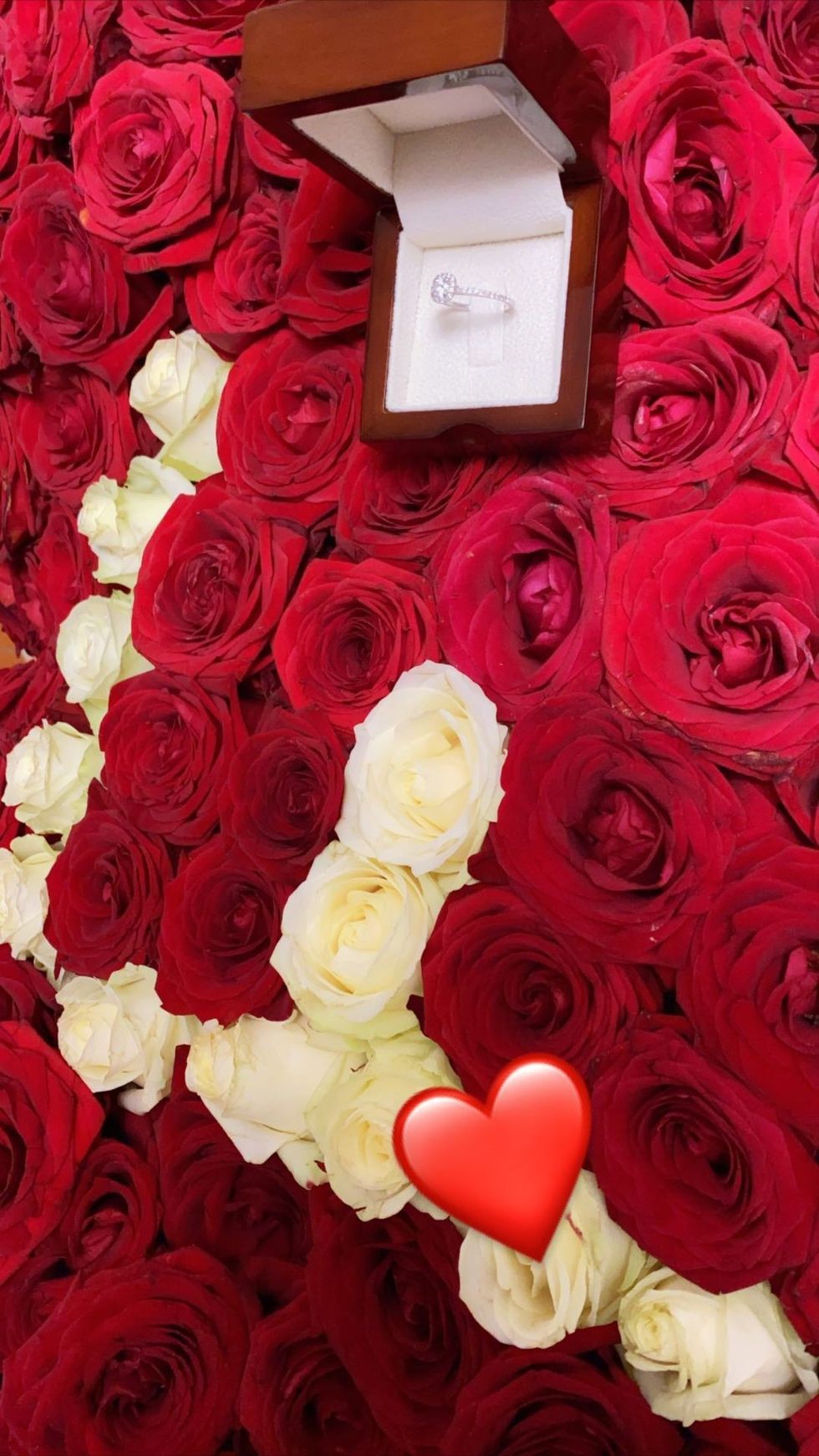 121641281 337425394009841 1727324057051017350 n