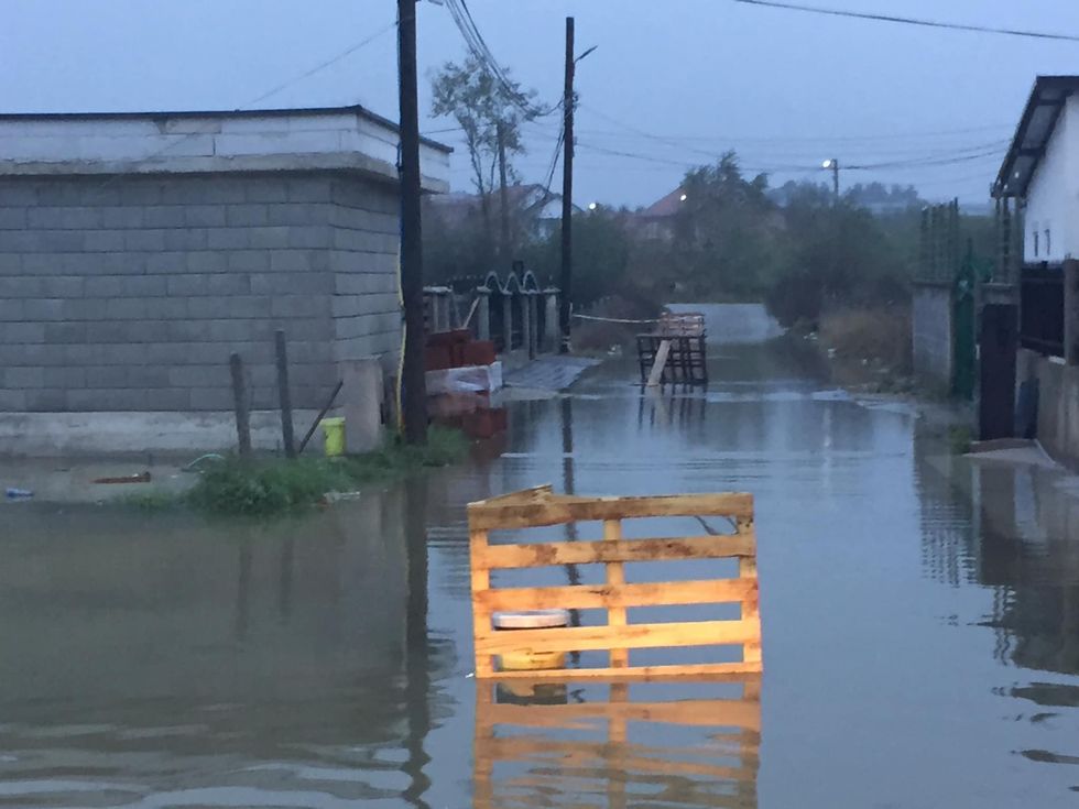 121678131 3339839496071584 1088076343585597766 o