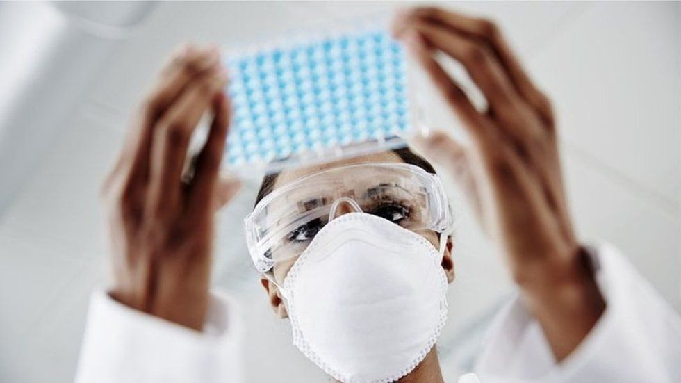 122051336 gettyimages 168166158