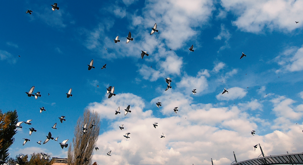 124376397 279361960178682 4694745986485891578 n