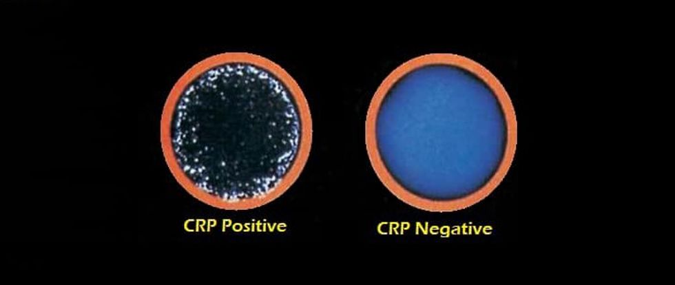 124460705 115685500346587 4984472761906675987 n