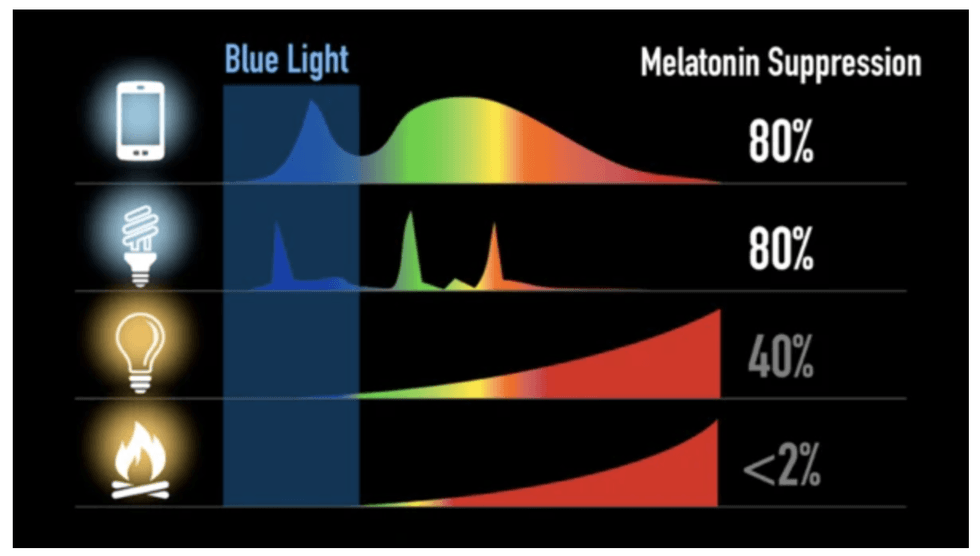 127454156 194364688990249 4550382946655140657 n