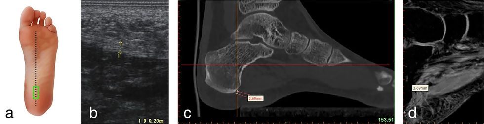 12880 2019 361 Fig1 HTML