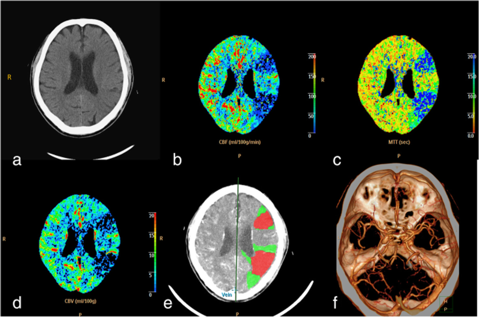 12883 2021 2131 Fig1 HTML