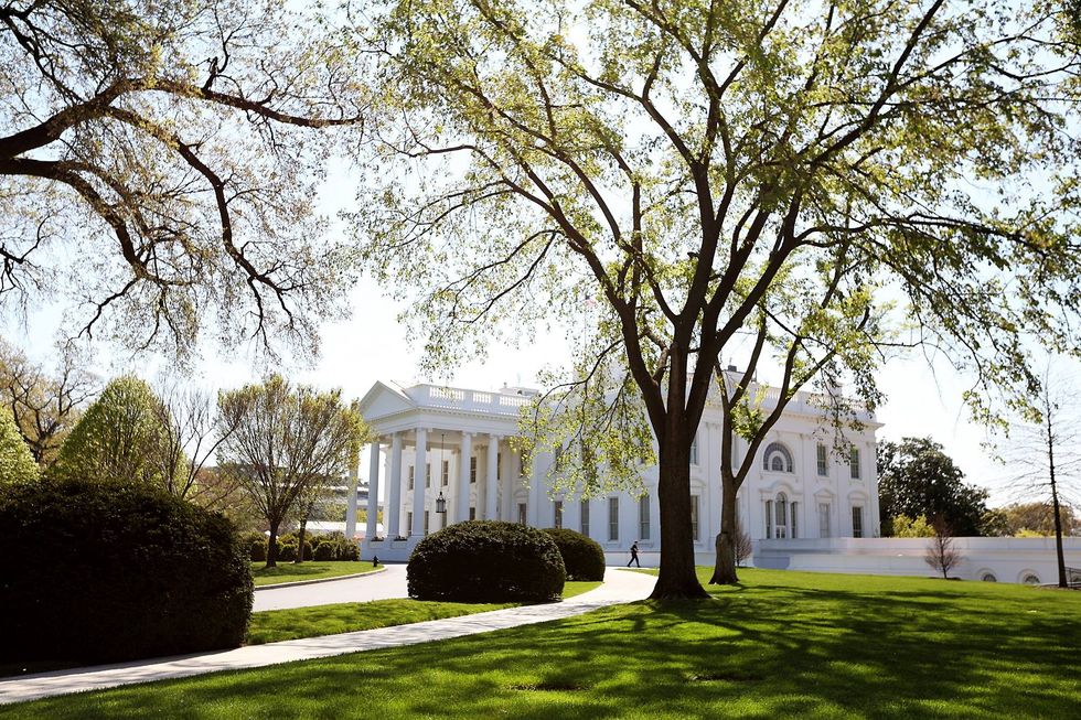 12970805_10153643147156523_7511215572352797404_o