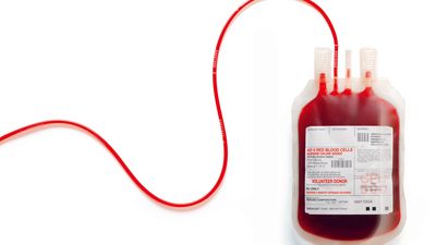 2016/03/Blood-donor.jpg