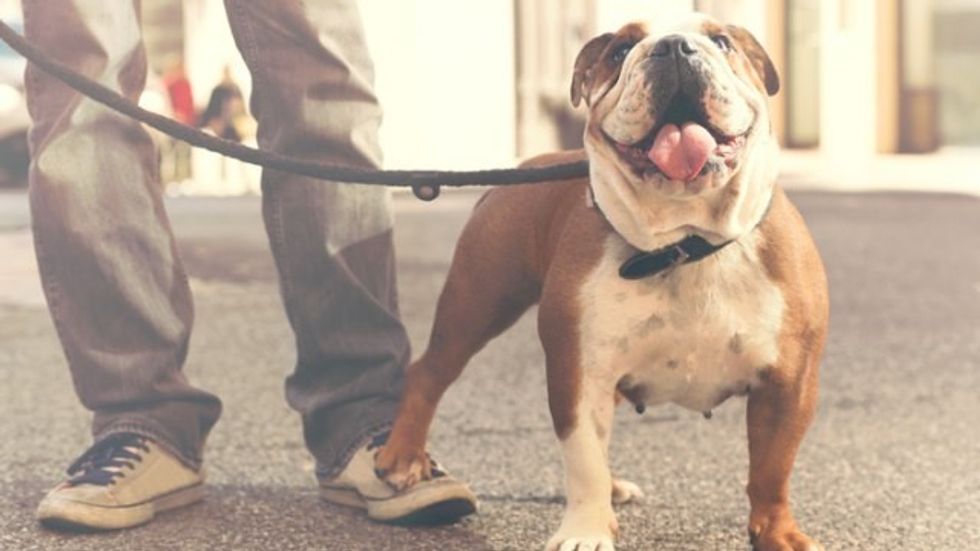 13100904595be7efa7c2ed5147488544 x003838