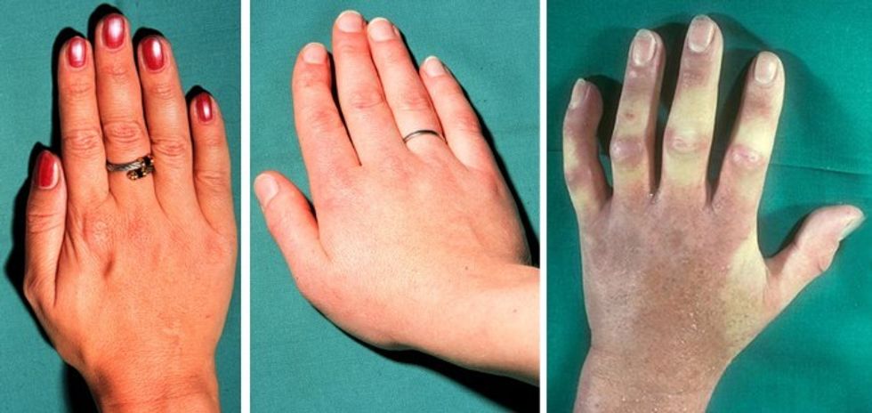 13167 2013 Article 5018 Fig4 HTML