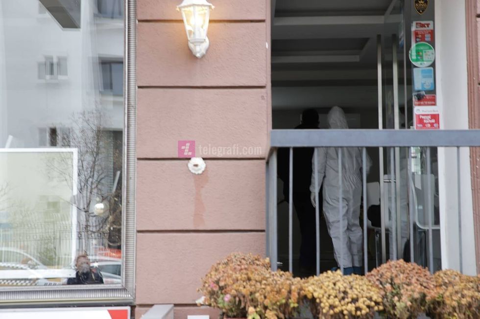 134361349 781146352437347 4026111926210521794 n