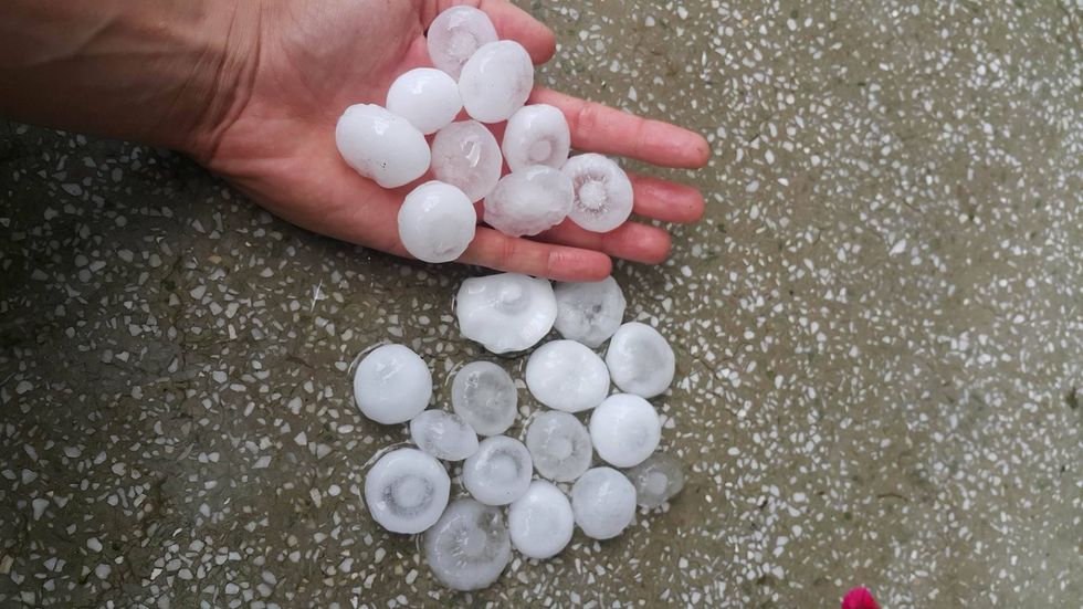 13453137_1118401731555935_1248662433_o