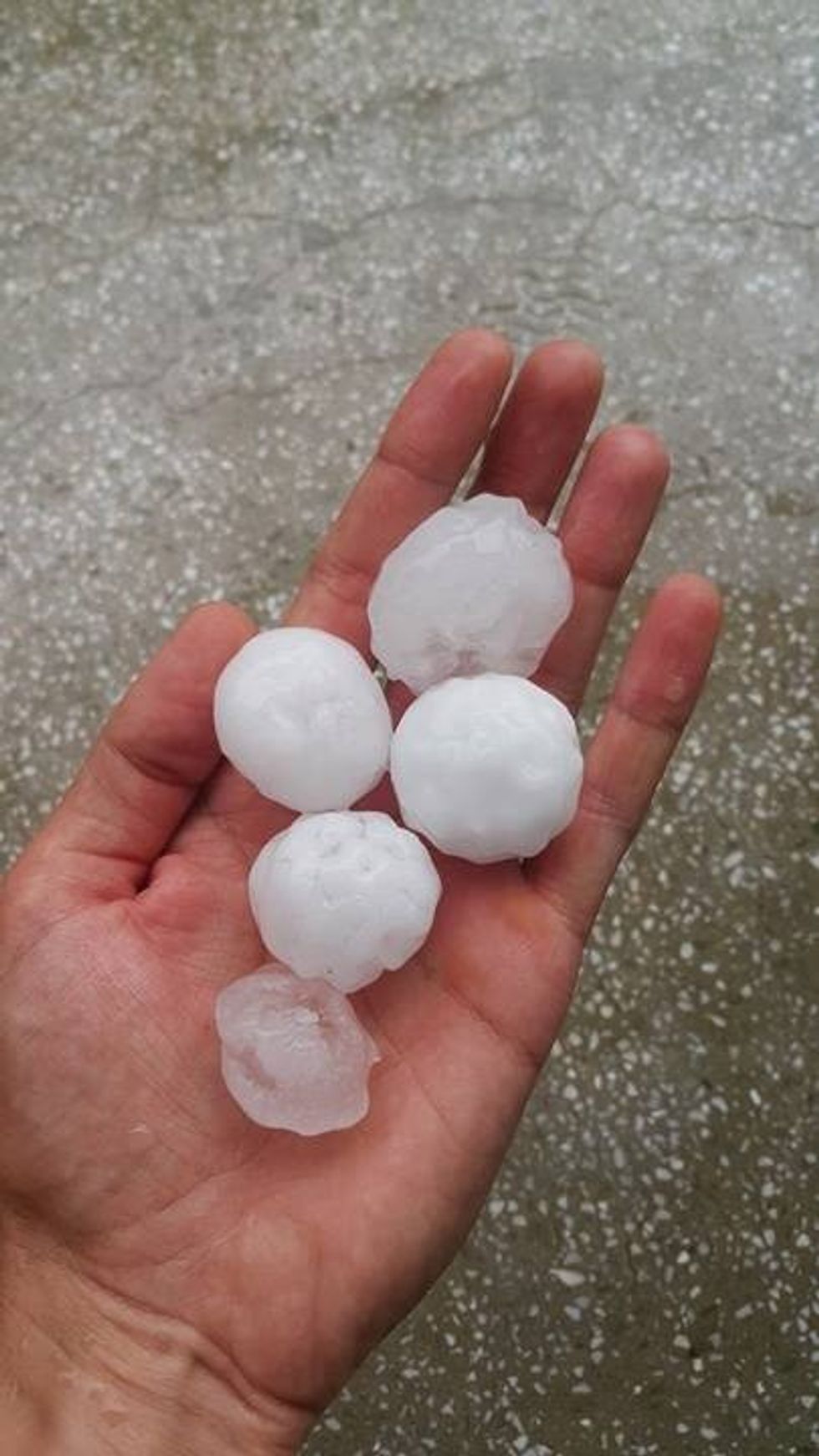 13479261_1118401798222595_68467648_n