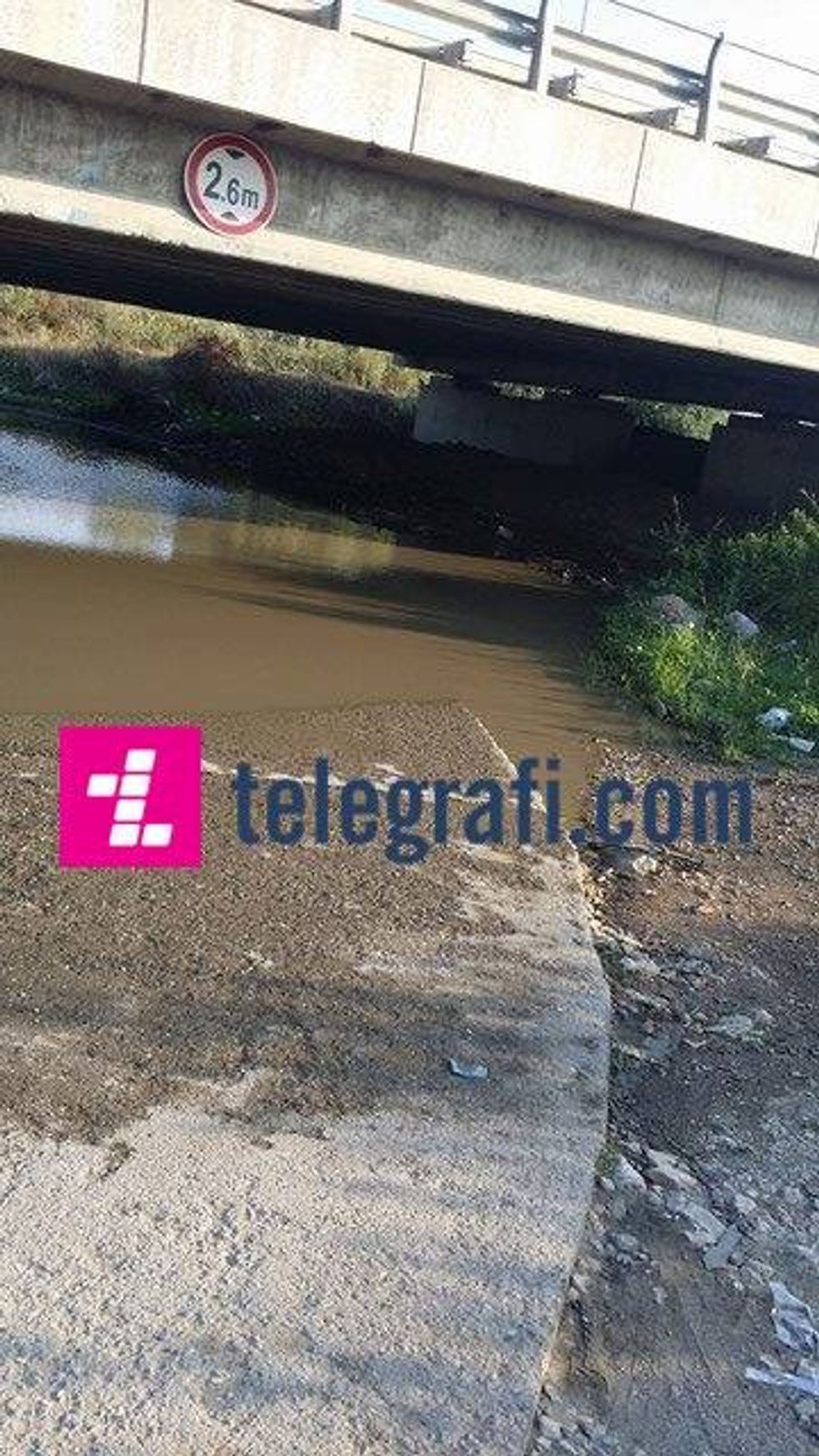 13672636_10209256510705699_1683478803_n