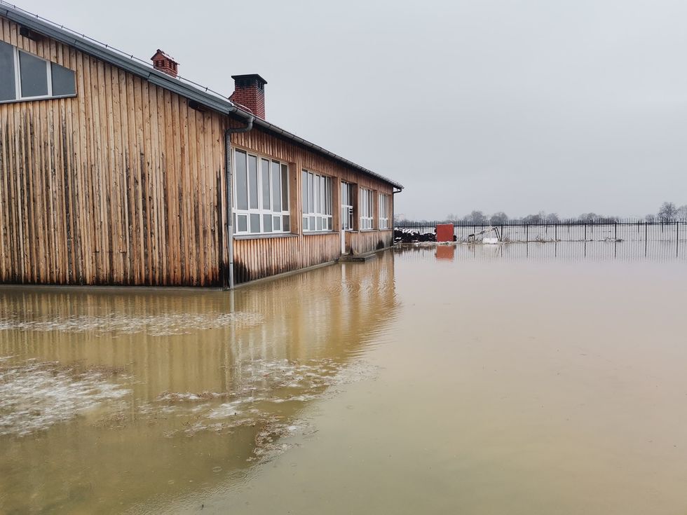 136974382 4247861218573698 6643368753370068144 o 1