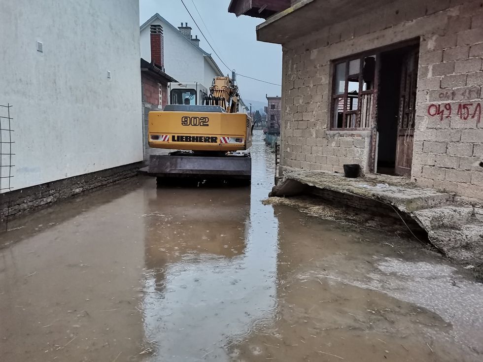 137217253 4247835365242950 5115230131824509061 o