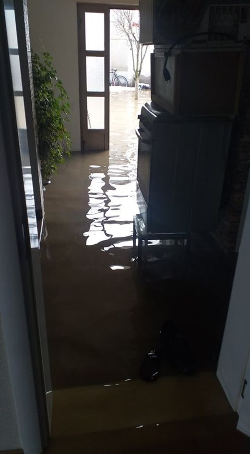 137711423 493616008274444 6848576295211201243 n