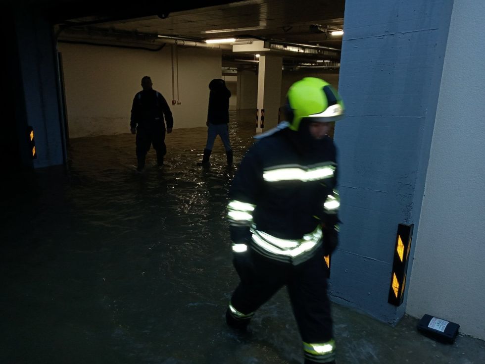 138390235 2769475926627873 3253251962528077542 o 1