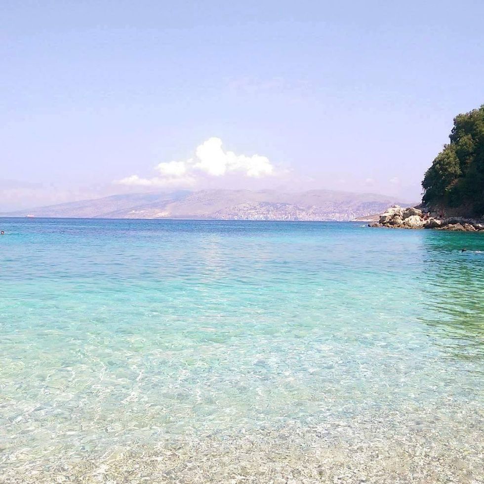 13925936 1461721427177303 3193660927544657577 o