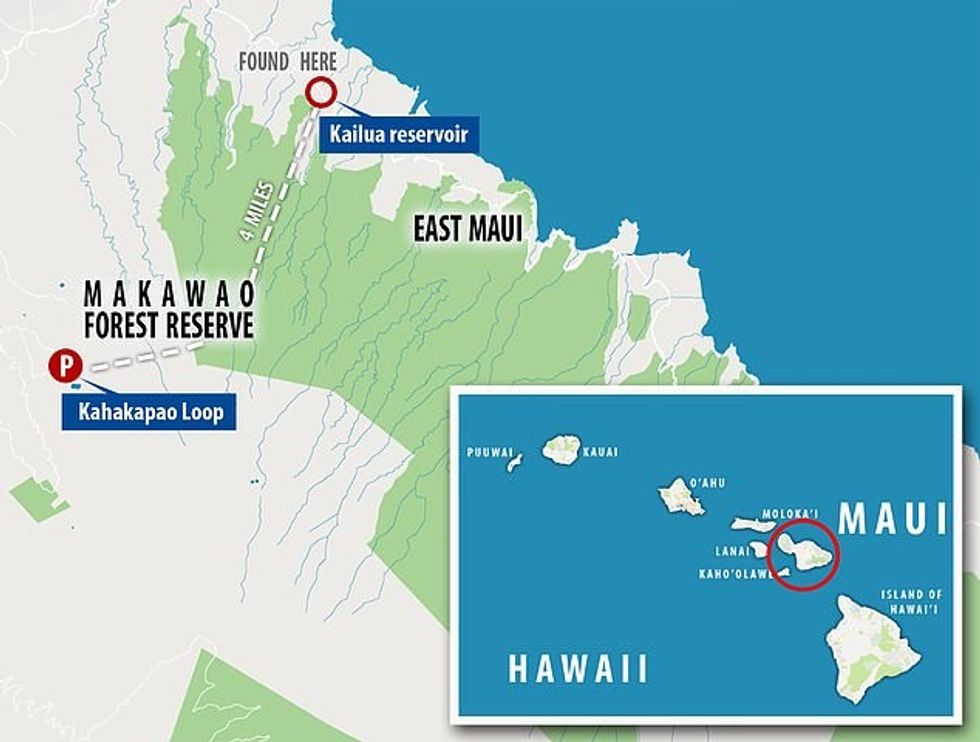 13948208 7069421 image a 15 1558794397823