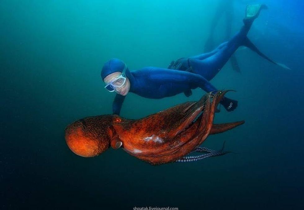 14021651 862535807179589 5862716736827250561 n