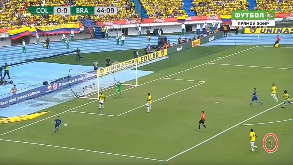 140435683 b1bffda2 abef 42c9 9235 6f675f002733