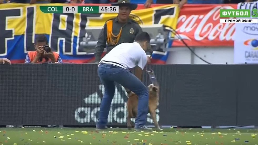 140438423 9050c979 1e64 4804 9ea1 fe13516825b3