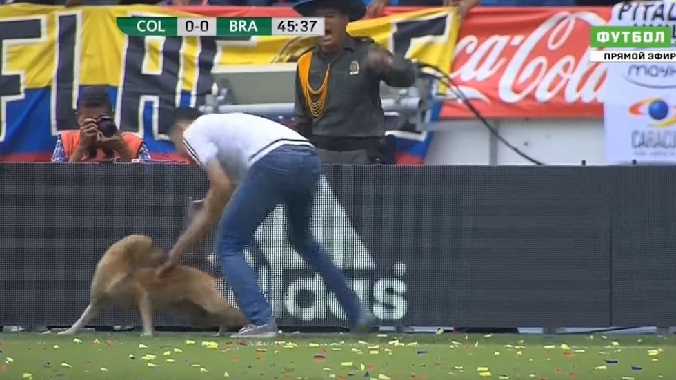 140441303 63507037 fc31 4651 b1ec 5a8222e1ca62