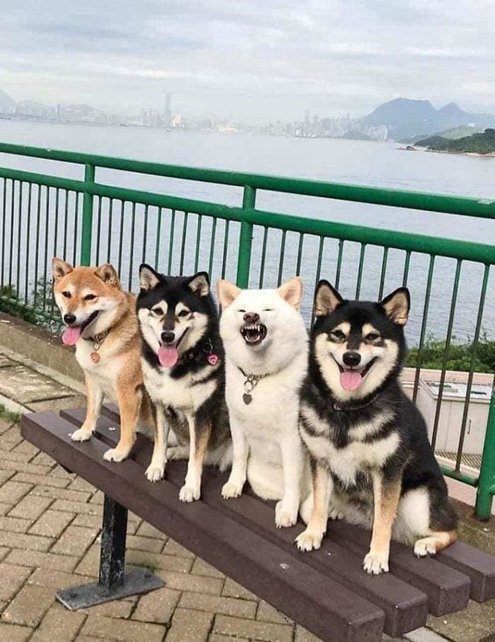 1422d6b6 a2eb 4899 b7e7 76be22c300c1