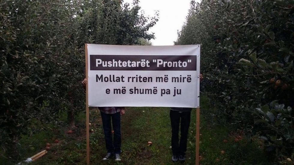 14408288-10154121120278541-1295060865-o-