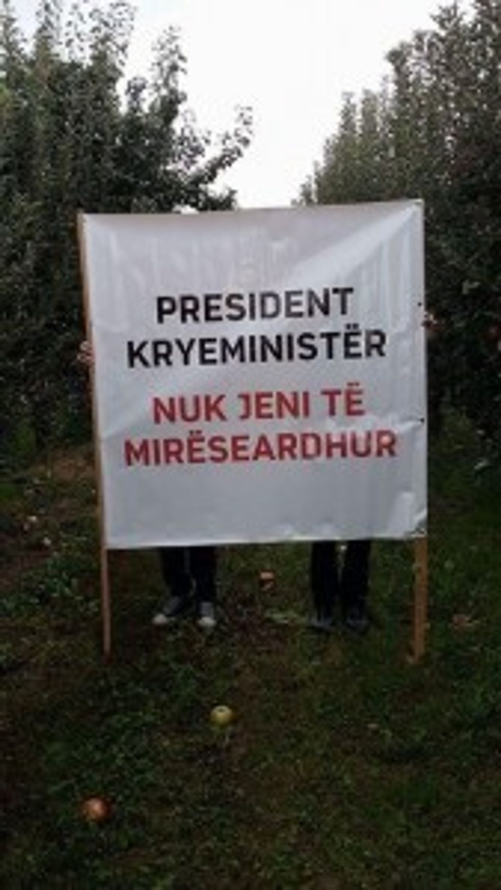 14429349-10154121120328541-1554768618-n-