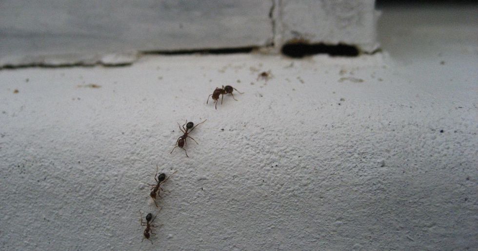 1451128059 8476be79ff o