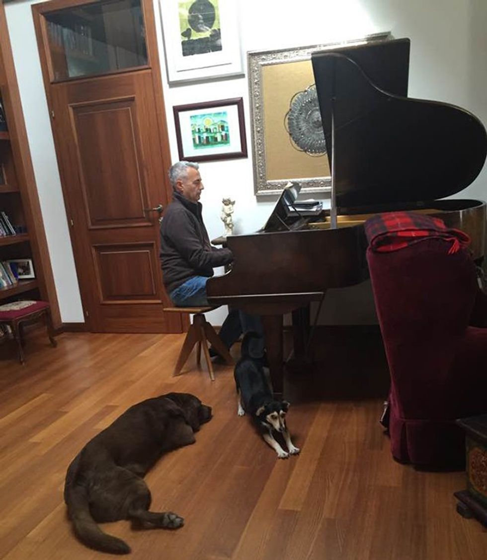 14671283 10209669484666715 3652501494122151276 n