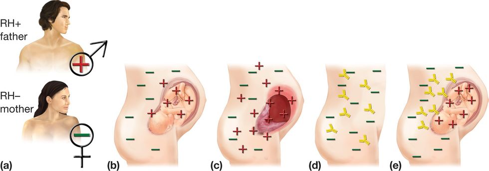 14755 16 10 12 12 29 18 9451500
