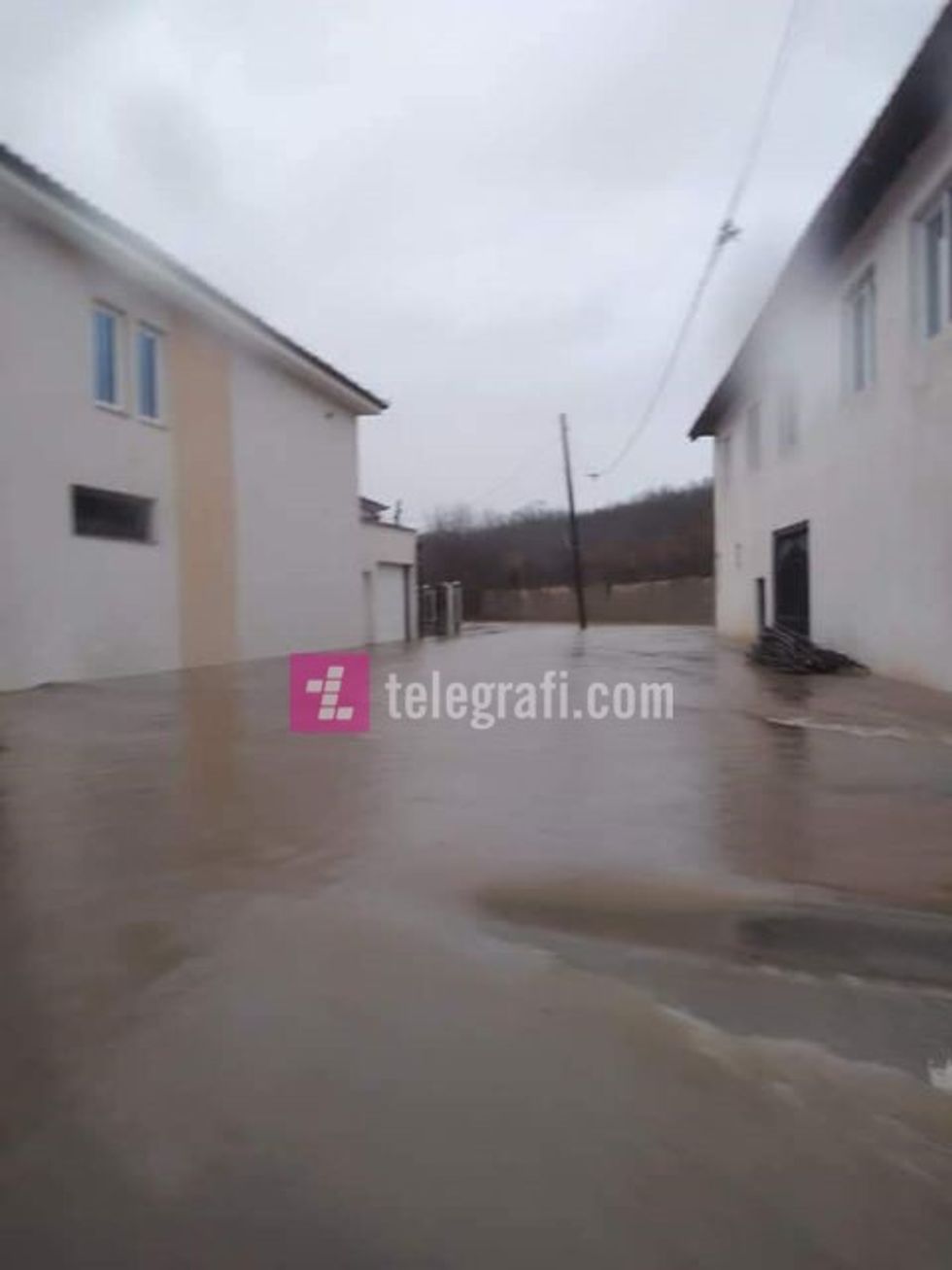 148520037 803480496910312 7919101262499374681 n