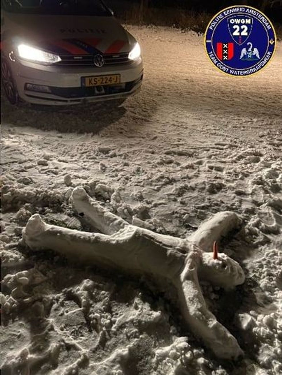 149274739 3613049058809346 8127634327618170410 n