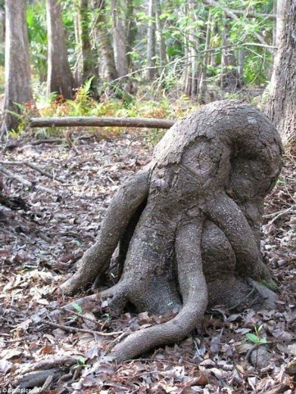 15 35