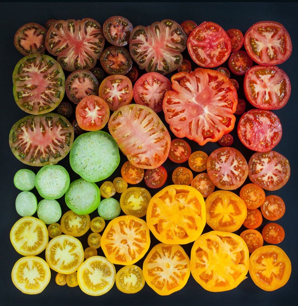 150109172947 emily blinc