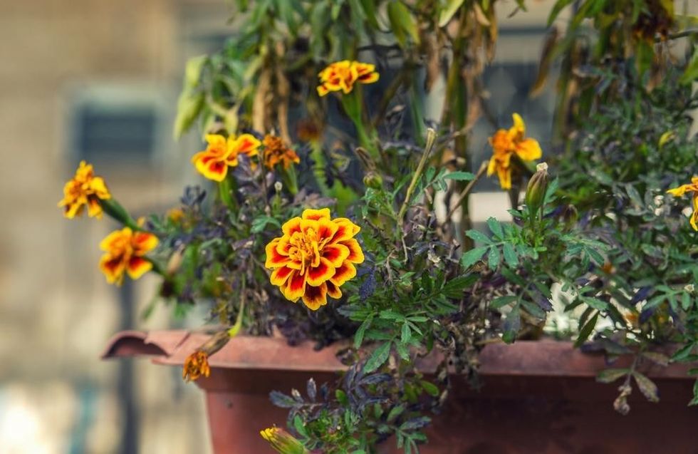 150429 shutterstock 763570618 f