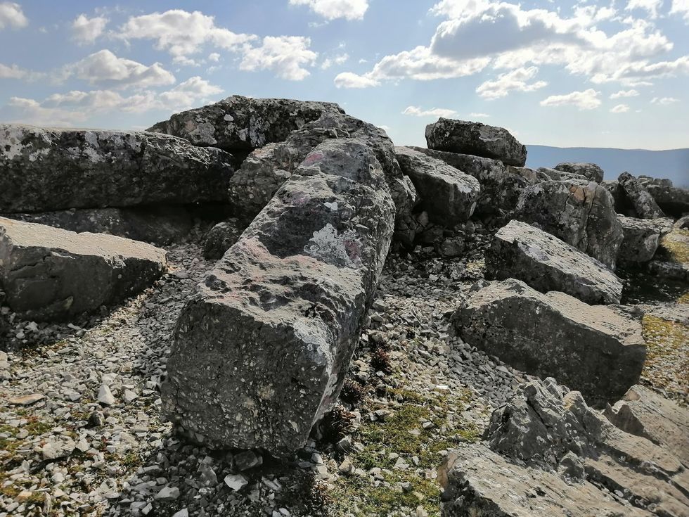 150828551 10159306211317249 7689558263356724569 o