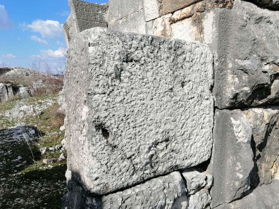 150900186 10159306211447249 3618880050074008709 o