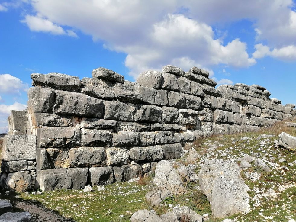 151097585 10159306211632249 6765641287208702362 o