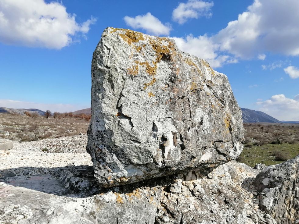 151228917 10159306211337249 5181312589977380393 o