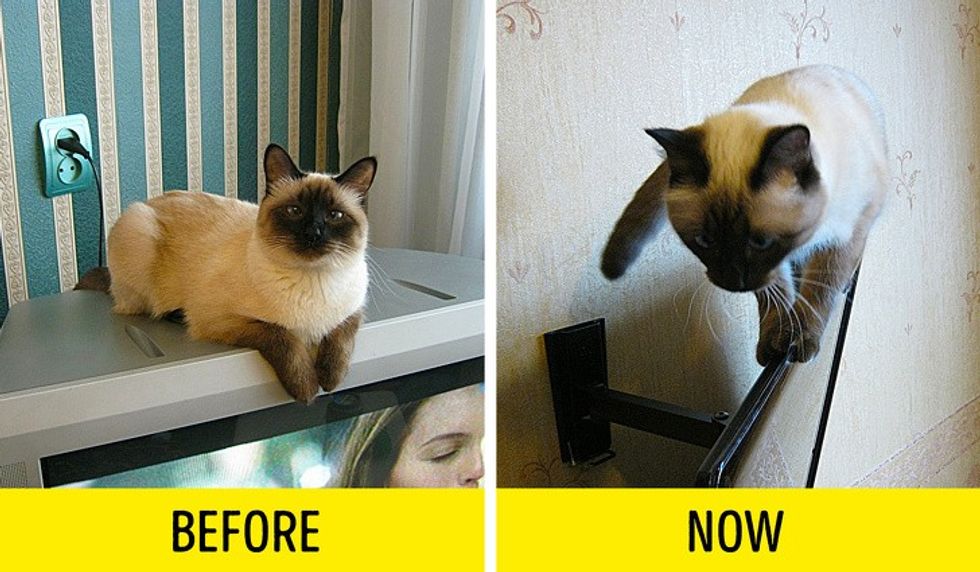 15131353 57861110 308d92267e5bbd5b4c197dc236abf8fd543e6629 1500 1 1568989897 728 85419a7549 1569226623