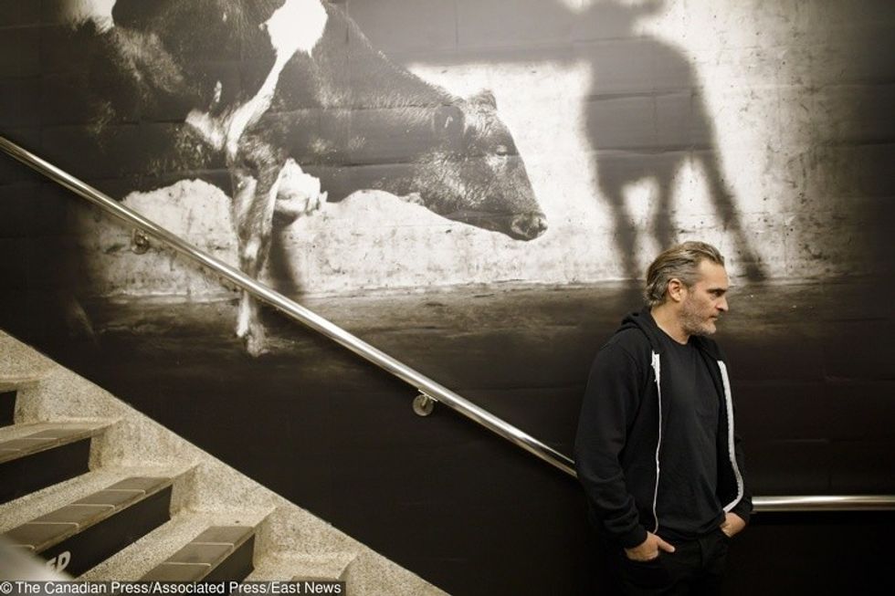 15145554 EN 01393033 1444 1570746863 728 948bad8f4e 1571810624