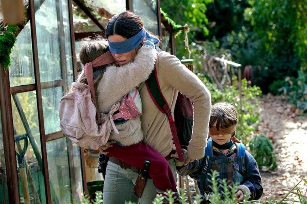 15156389 birdbox 1570539375 728 8f401de5de 1573459649