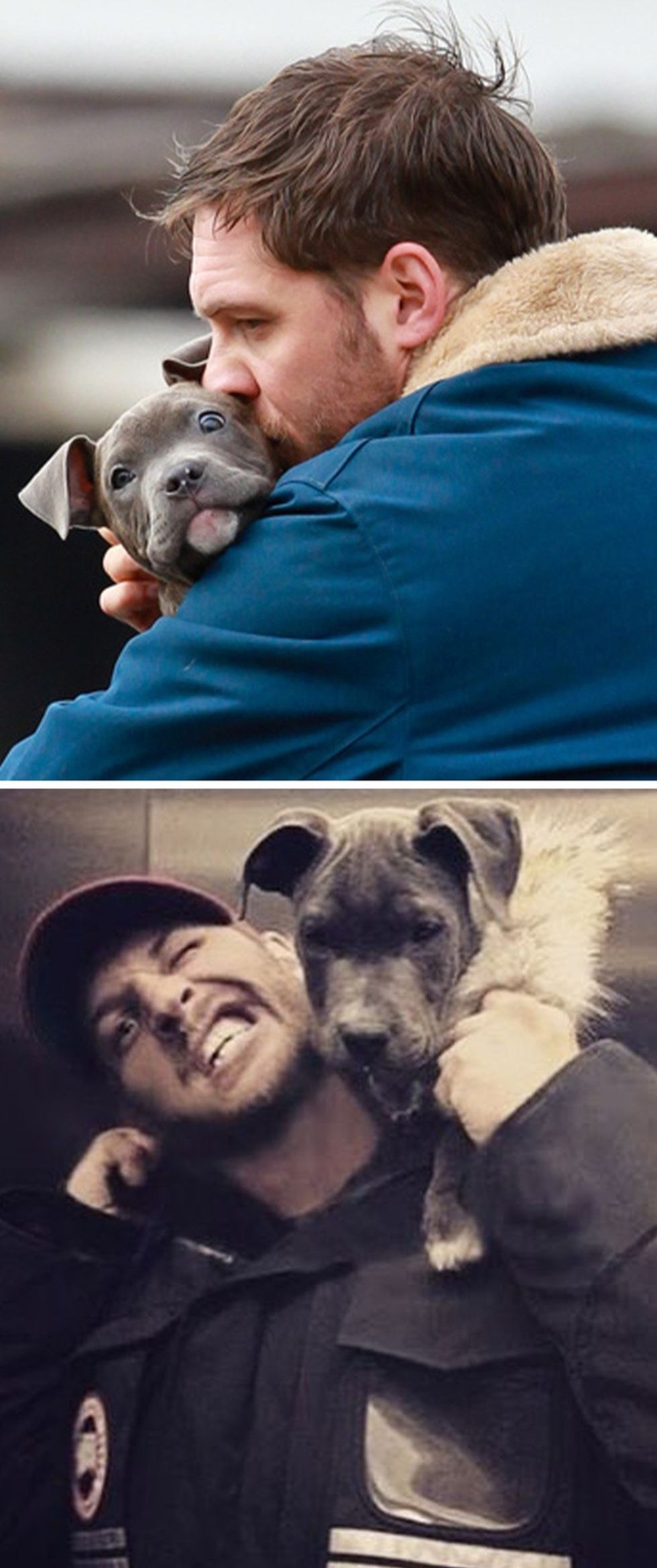 15193803 29329210 11a3482ccfc9b07fd87c656e656e1af021633af2 1500 1 1578542612 728 6fea1e9360 1578668272